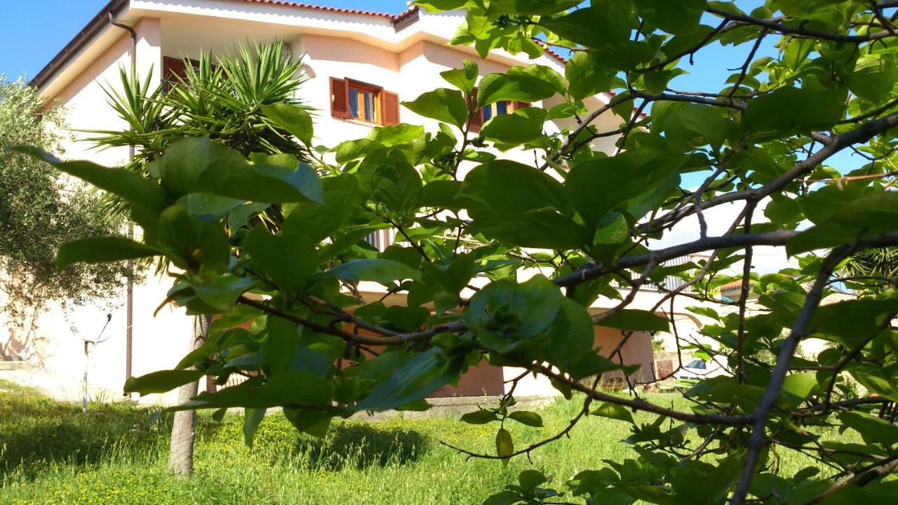 Borgo Marinaro Panzió Marina di Camerota Kültér fotó